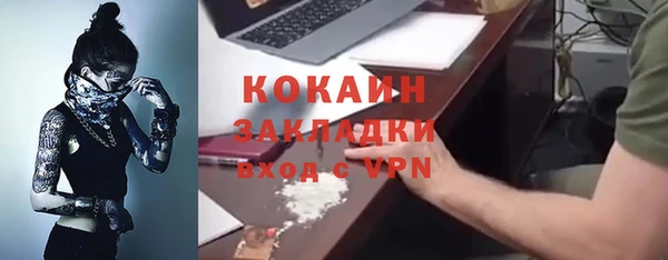 эйфоретик Сосновка