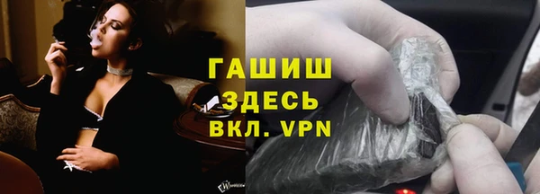 прущие грибы Белокуриха
