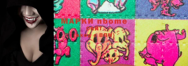 прущие грибы Балабаново