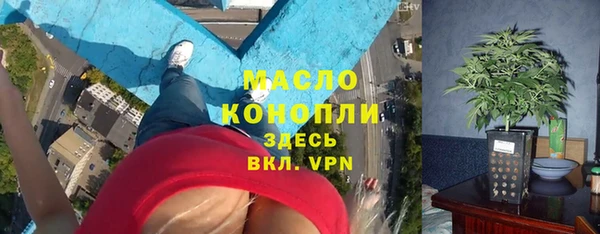 эйфоретик Сосновка