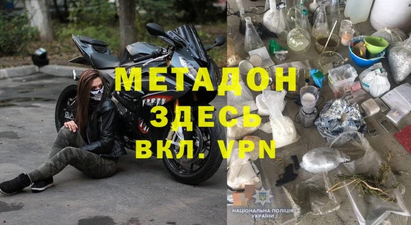 прущие грибы Белокуриха