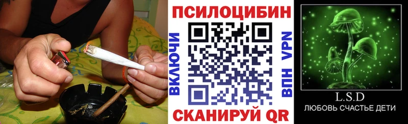 Псилоцибиновые грибы MAGIC MUSHROOMS  MEGA маркетплейс  Кодинск 